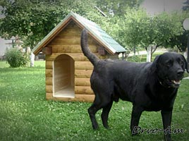 Kućice za pse